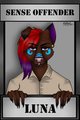 COMMISSION: Luna Sense Offender