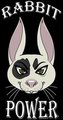 Rabbit Power