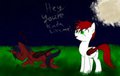 Vampony meeting