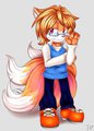 Liev the Four-Tail Fox