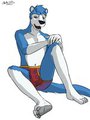 National Underwear Day