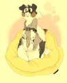 BARKBARK MOFO by Evilbagel