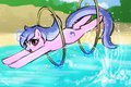Sea Swirl's Show