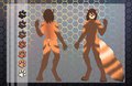 Hex - character sheet