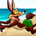 Dos Coyotes, Toon Beach