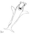 Happy Shark