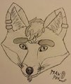 MaxFox (Sketch)3