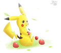 Pikachu's Lunch