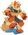 Arcanine TF!