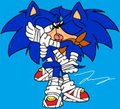 SonicXSonic: Kissing Hedgies by HeartinaRosebud