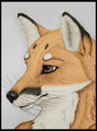Vael the Fox - Color