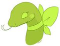 Sweet Snake Calliope