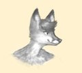Gfoo by candycorny