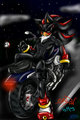 Shadow Motorbike