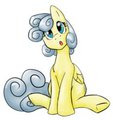 Cute and Confuzzled