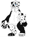 Meet Skip Dalmation !!! 