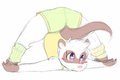 Ferret Anatomy
