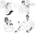 Henpecked by Dragga