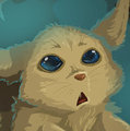 *C*_Sharkfox in a box