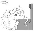 Anubis Vore 2/3