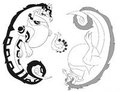 Vore Balance