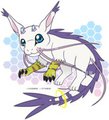 Gatomon Ryuunu Puppy - Adoptable for sale (OPEN) by BlackCachomon