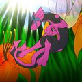 Tiger Lily Curiousity