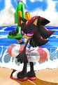 SUMMERSHADOW by Gatoh