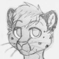 CFz15 Stuff - Sketch by Lupeyroo