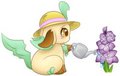 Leafeon and the Gladiolus