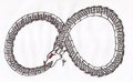 ouroboros by rinnoaXD