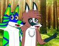 selfie from me and tanuki :D 