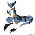 Kangaroo babe