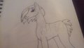 4$ adopt by JinxieChick12