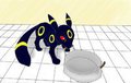 (RD Labs) First Day - FoxyUmbreon