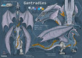 Commission: Gantradies Referrence Sheet