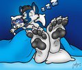 Cale's Sleepy Paws