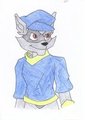 Sly Cooper