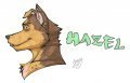 FC 2011 Conbadge - Hazel 
