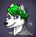 New Style Test