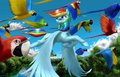 Flight of Rainbows