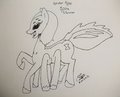 Spider Pony Spira Weaver