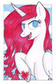 Princess Apricity