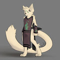 Battle Robes by FoxJesus