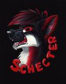 SCHECTER Badge (2) by BlueFoxalope