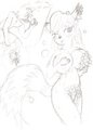Kitty in the shower (sketch)