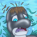 Orca Gear
