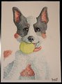 New Submission by Boscoe
