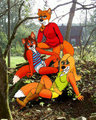A Lovely Bunch of Vixens in their Natural Habitat