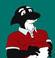 Growling Orca Tummy